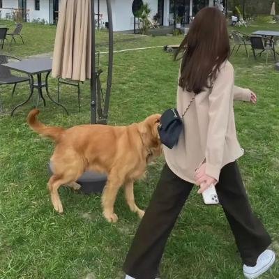 快乐的大脚